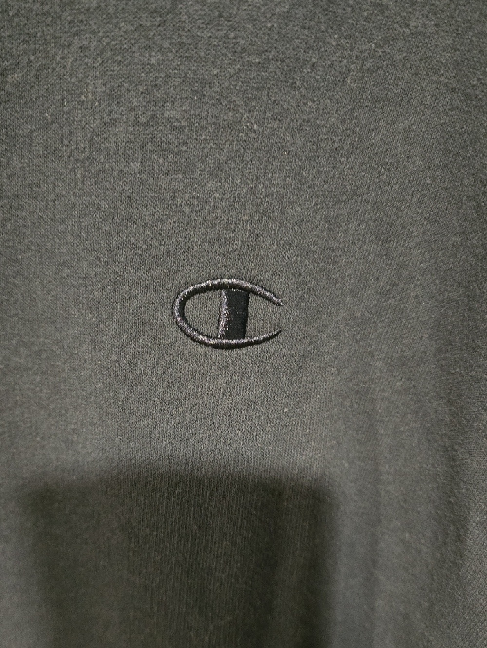 Champion - Picture 2 of 5